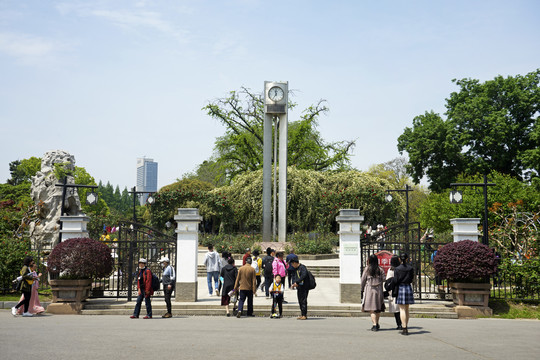 玄武湖公園月季園