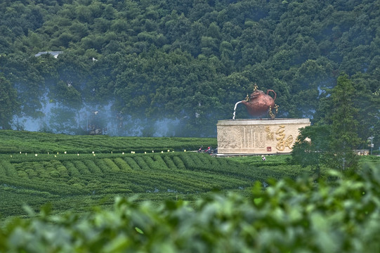 龙坞大茶壶