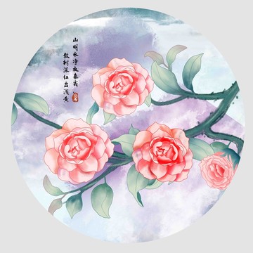 山茶花插畫