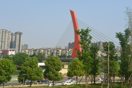 成都锦江世纪城路跨府河大桥