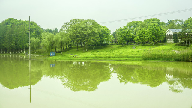 绿树碧水