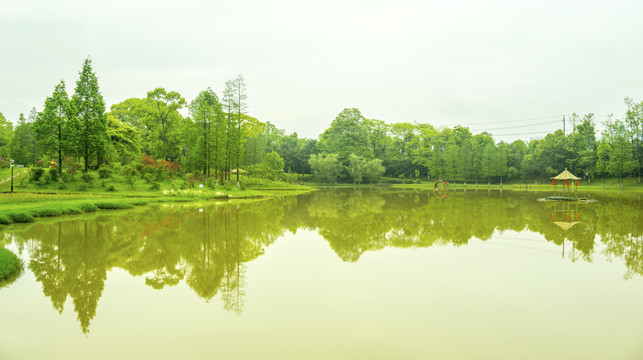 绿树碧水