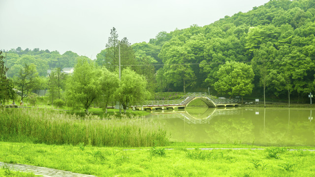 绿油油湖光山色