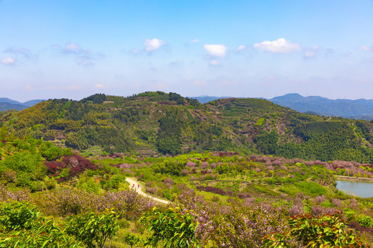 四明山