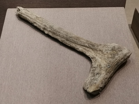 新石器原始工具兽骨勾勒器鹿角柄