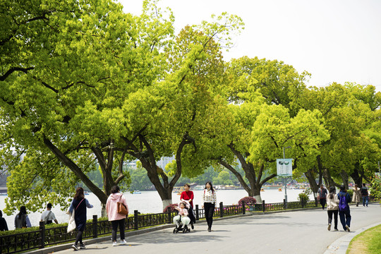 玄武湖公園