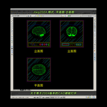 医学展示大脑CAD平面图立面图