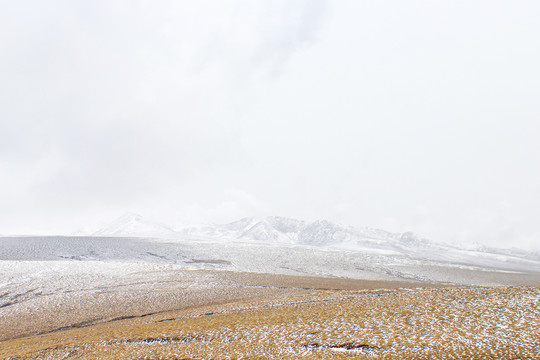 青海草原初雪