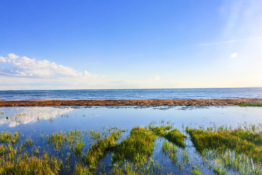 青海湖