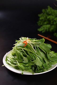 鸡毛菜