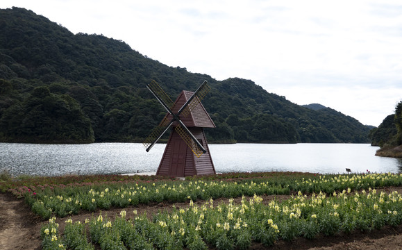 湖畔花卉种植基地