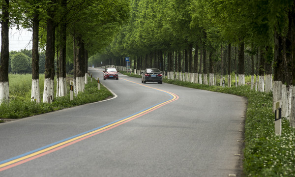 公路绿化