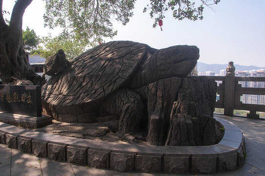 东海观音禅寺寿龟观日出