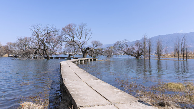 蓝天碧水小桥烟柳