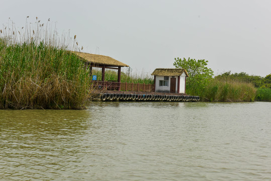 下渚湖湿地