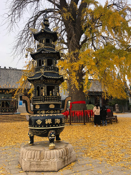 青岛城阳区法海寺