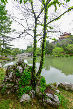 山东青州范公亭公园暮春景色