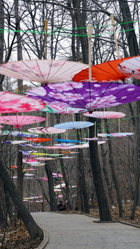 丛林石板路上的花伞