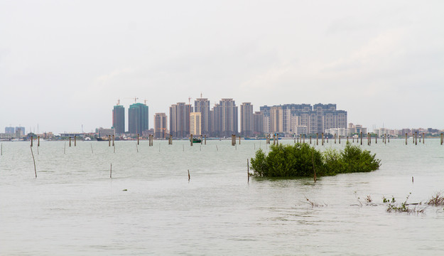 湛江城市风光