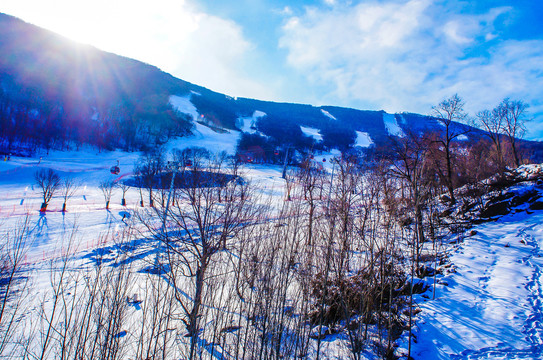 滑雪场