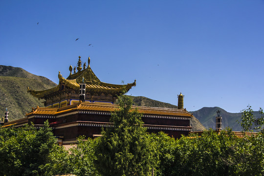 藏传佛教建筑寺庙
