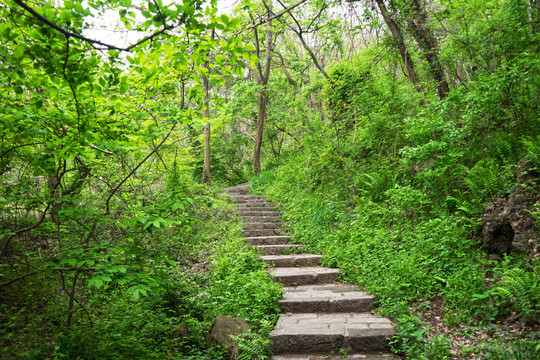 山间小路