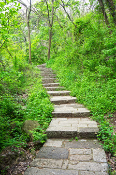 山间小路