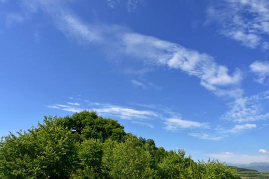 青山绿树蓝天白云