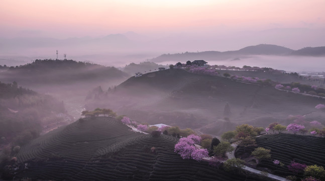 永福樱花园