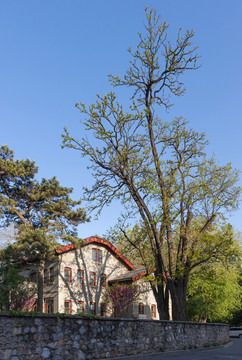 北京大学燕南园51号楼