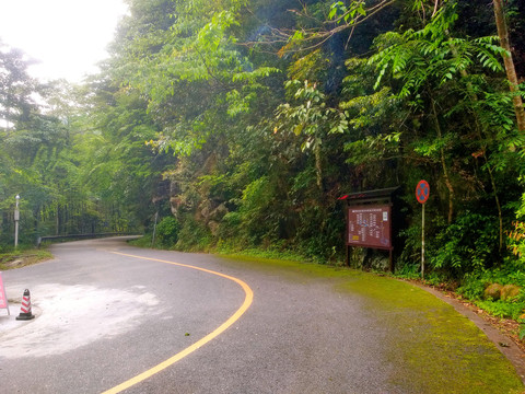 景区道路