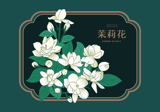 茉莉花