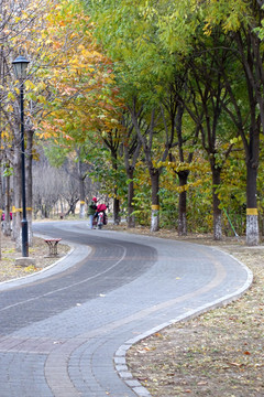 园林小路