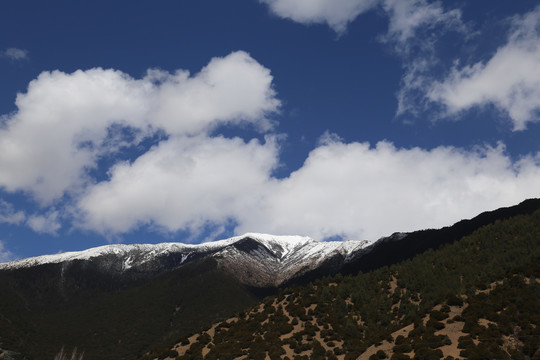 雪域高原