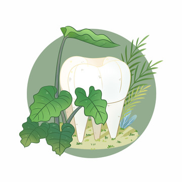 種植牙齒治療牙齒植物元素