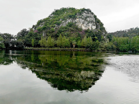 肇庆星湖风光