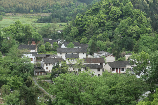 山村