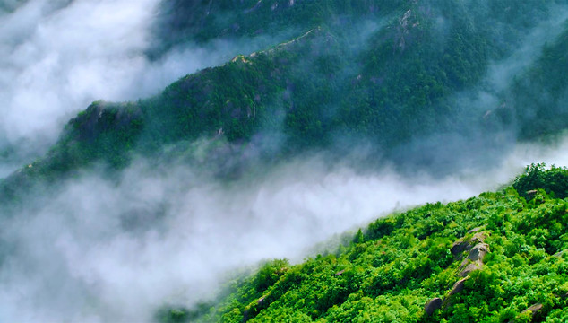 高山云雾