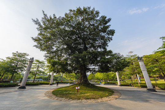 深圳麒麟山公园