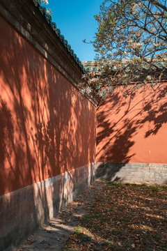 北京天坛公园斋宫古代建筑