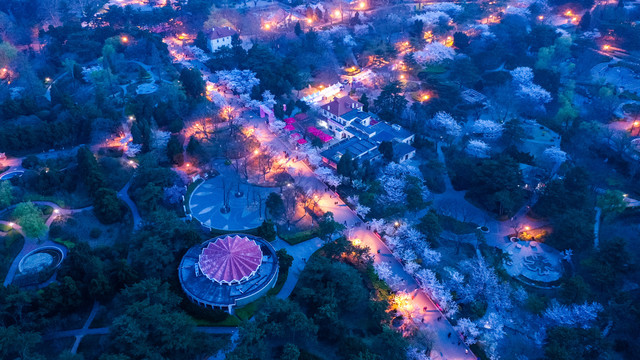 青岛中山公园夜景