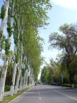 公路