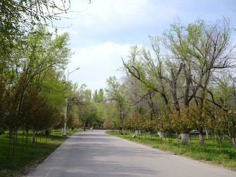 公路