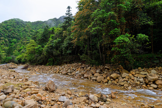 姑婆山风景