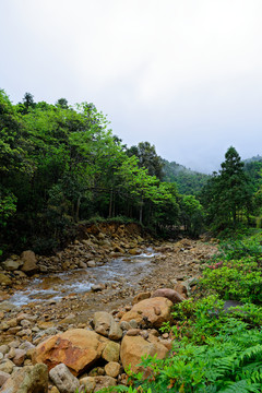 姑婆山风景