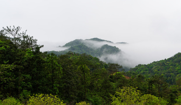 风景