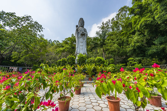 石芽岭公园