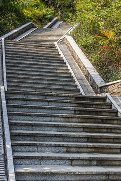 登山道