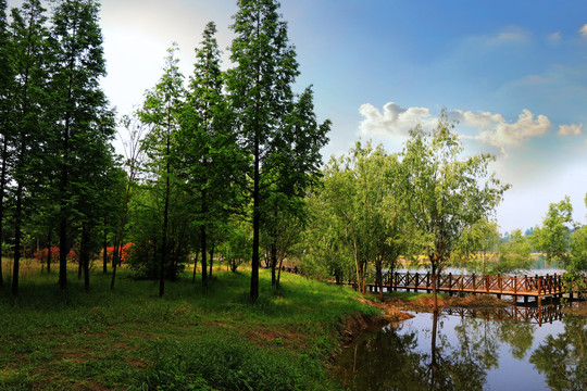 山水风景