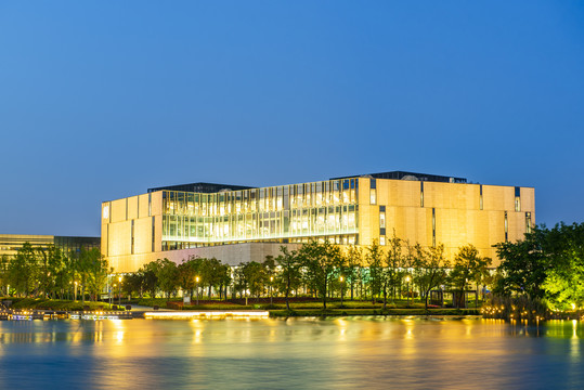 宁波东部新区图书馆夜景